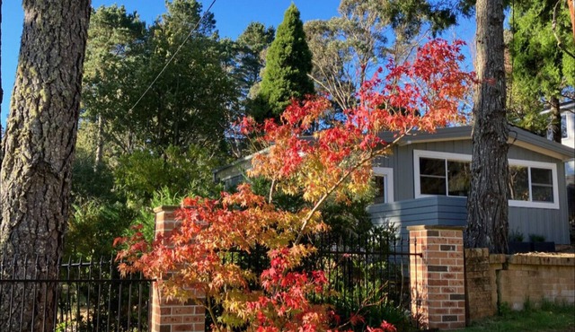 Sunflower - Cozy Cabin, Lake, Pet & Family Friendly in Wentworth Falls