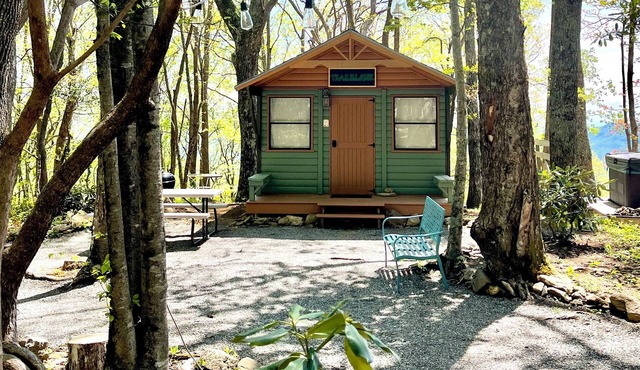 Trailblazer - Cabin w Mtn Views in Black Mountain