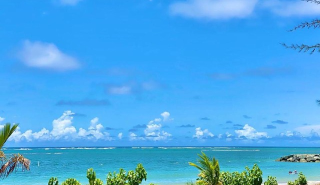 Tropical Breeze 2 Bed 2 Bath in Dorado