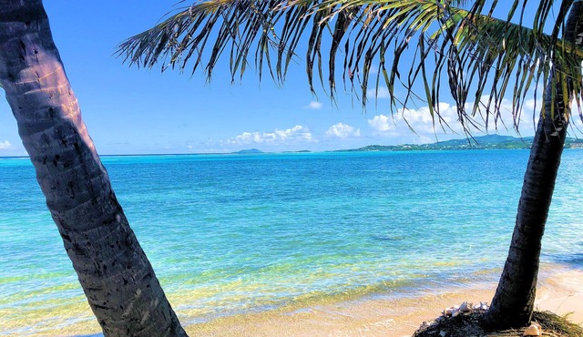 Tropical Turtle STX at Colony Cove - 2 bed/2 bath seaside condo - beach and pool