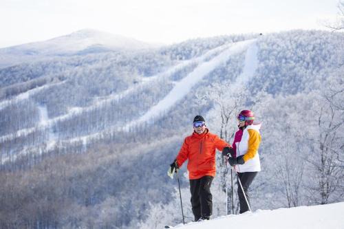 Windham Ridge Chalet in Windham