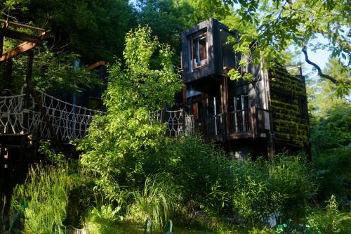 Zero Zero Treehouse in Coleford
