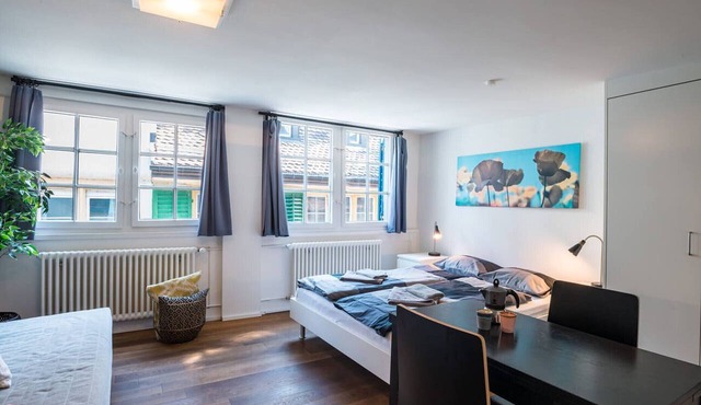 ZH Gasse 3 - HITrental Schmidgasse Apartment