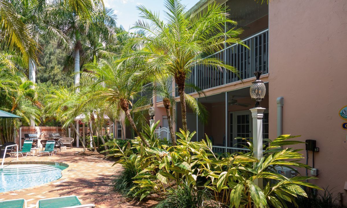 Photo of Outdoor in Siesta Key