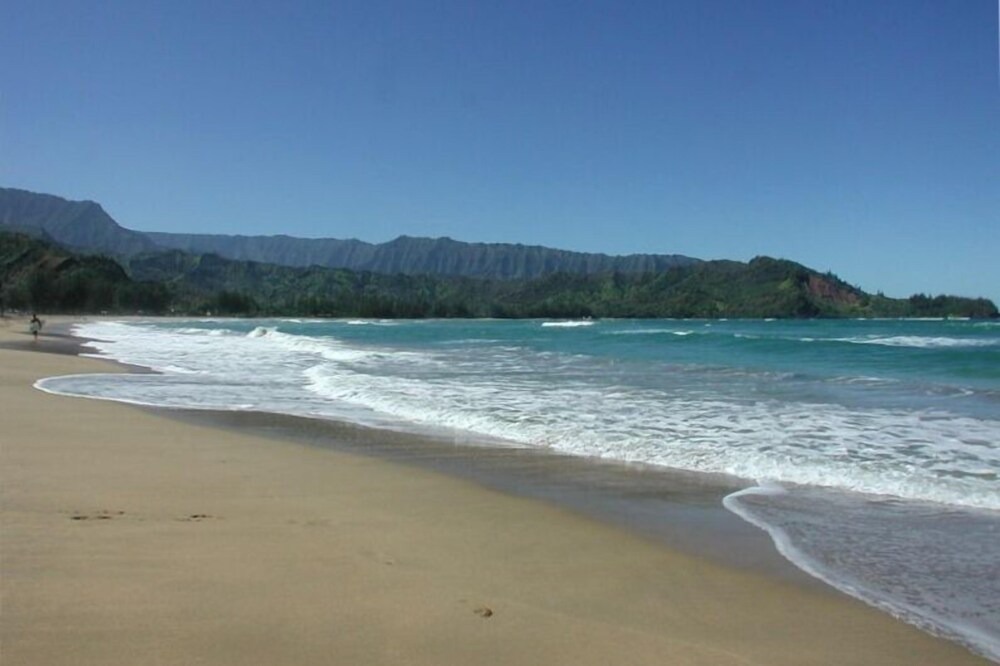 Photo of Others in Hanalei