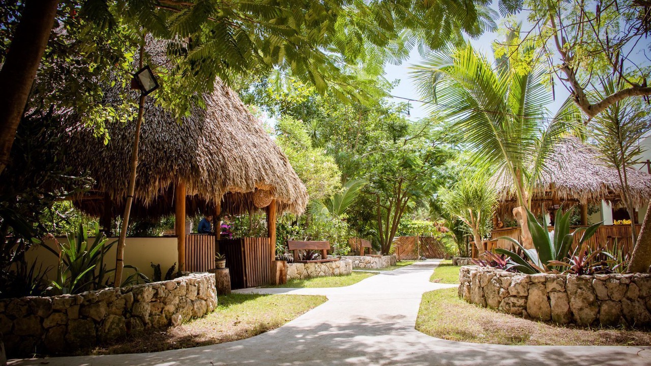 Photo of Outdoor in Akumal