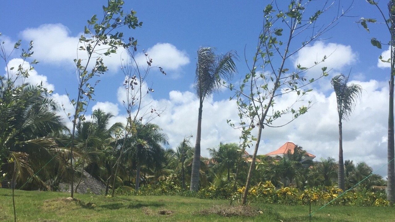 Photo of Outdoor in Punta Cana