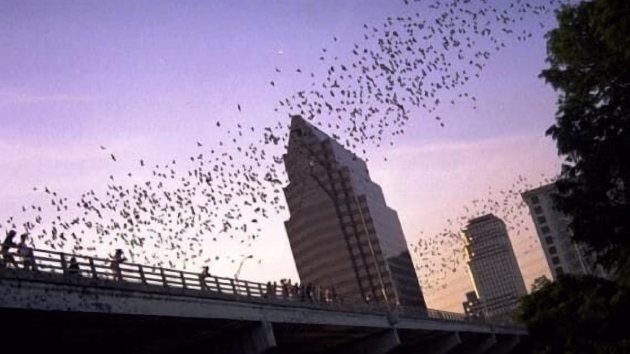 Photo of Outdoor in South River City
