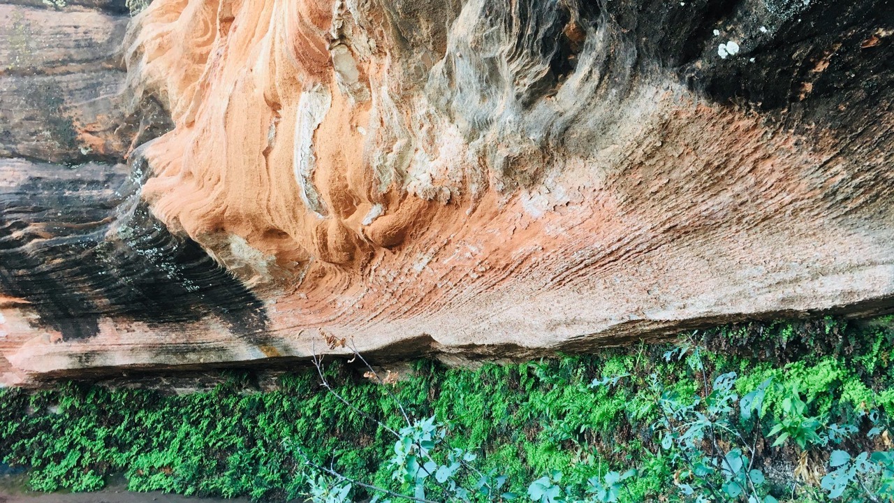 Photo of Outdoor in Page