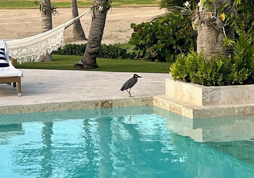 Photo of Outdoor in Punta Cana