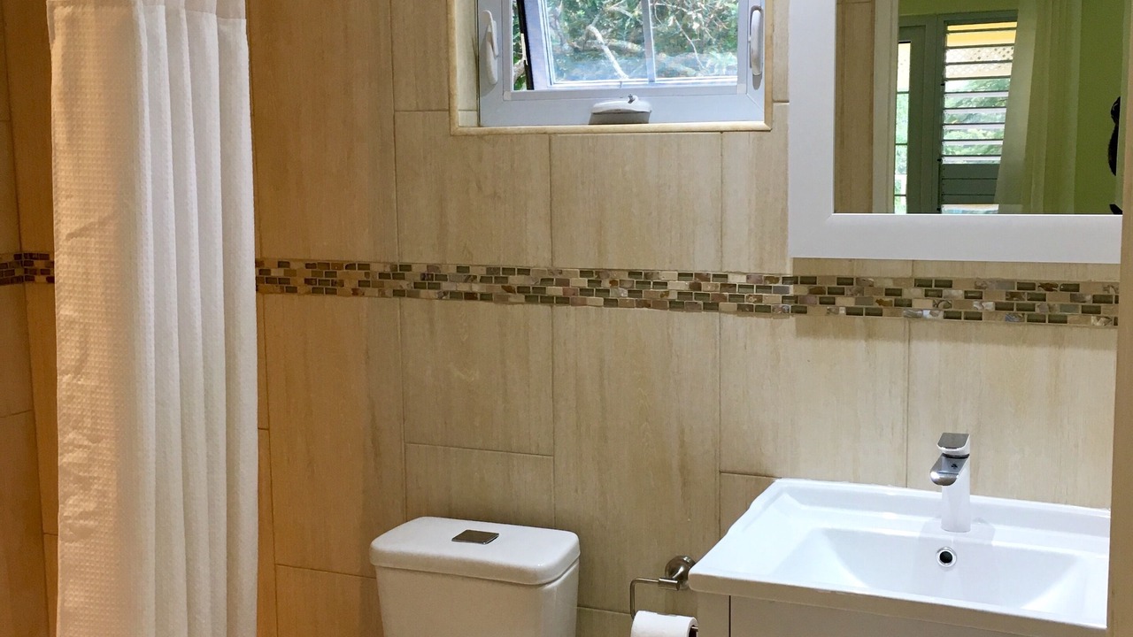 Photo of Bathroom in Mammee Bay Estates