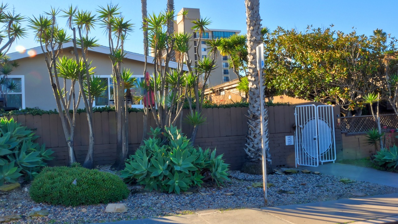 Photo of Outdoor in North Pacific Beach