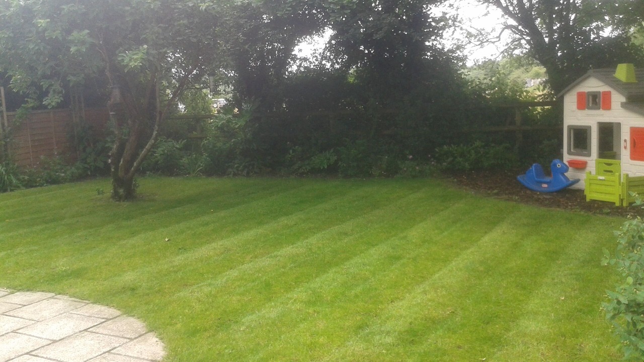 Photo of Outdoor in New Forest District