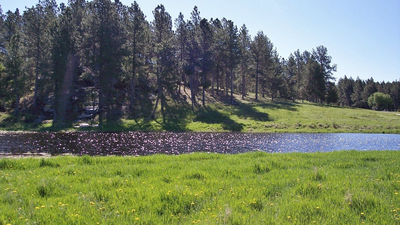 Photo of Others in Custer