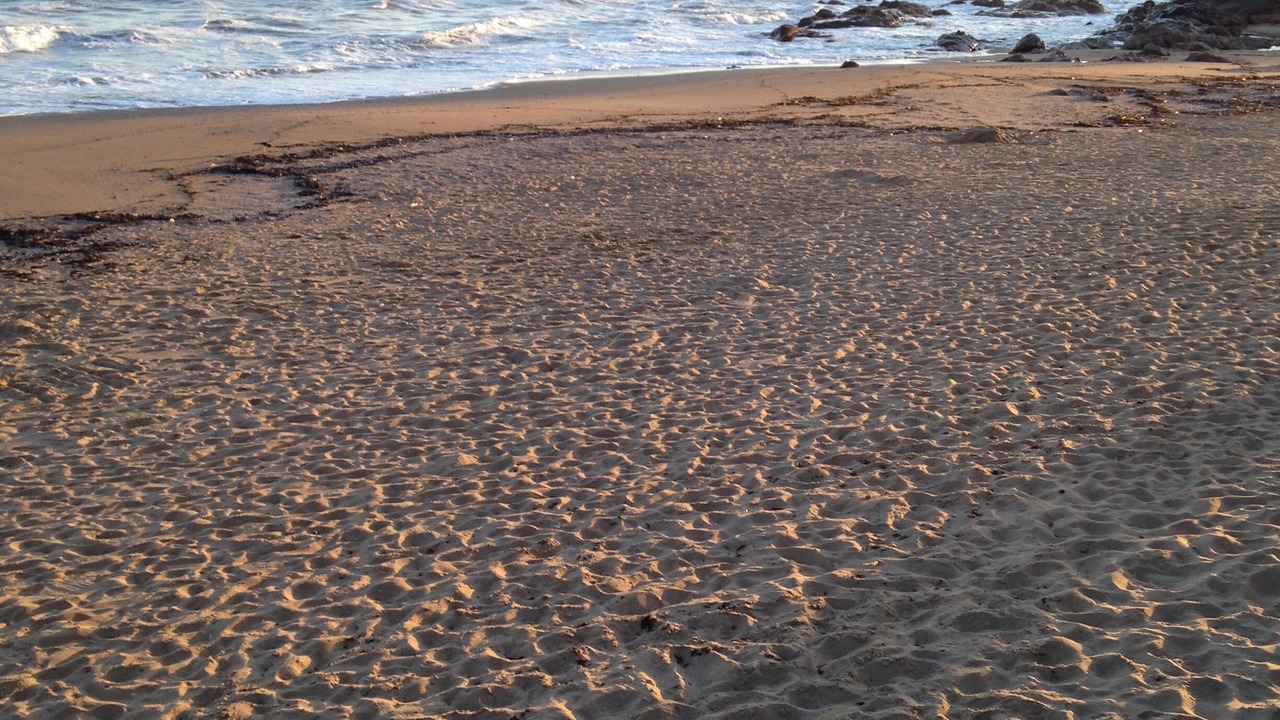 Photo of Others in Peninsula