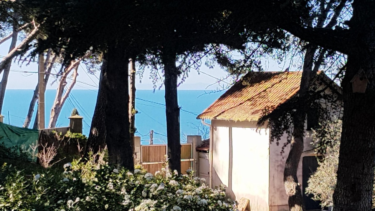 Photo of Outdoor in Sete
