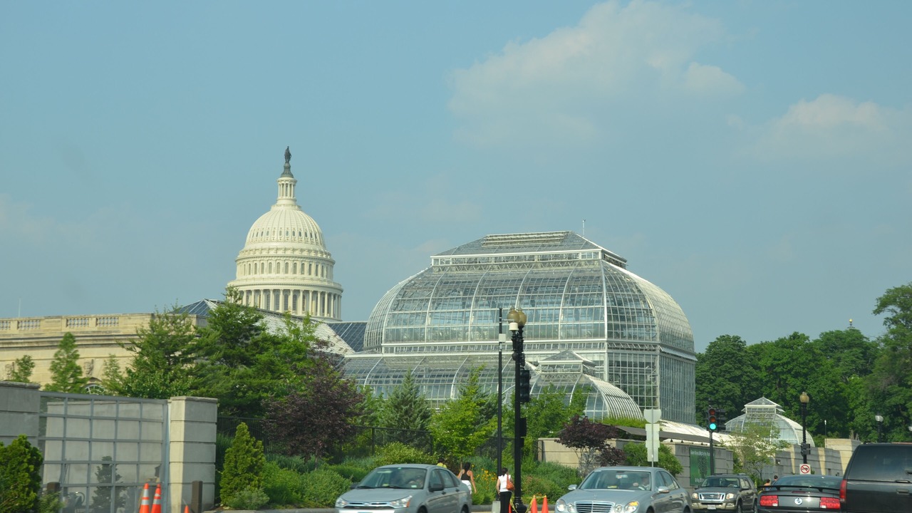 Photo of Others in Capitol Hill