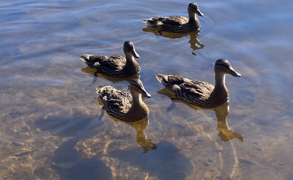 Photo of Others in Tobyhanna