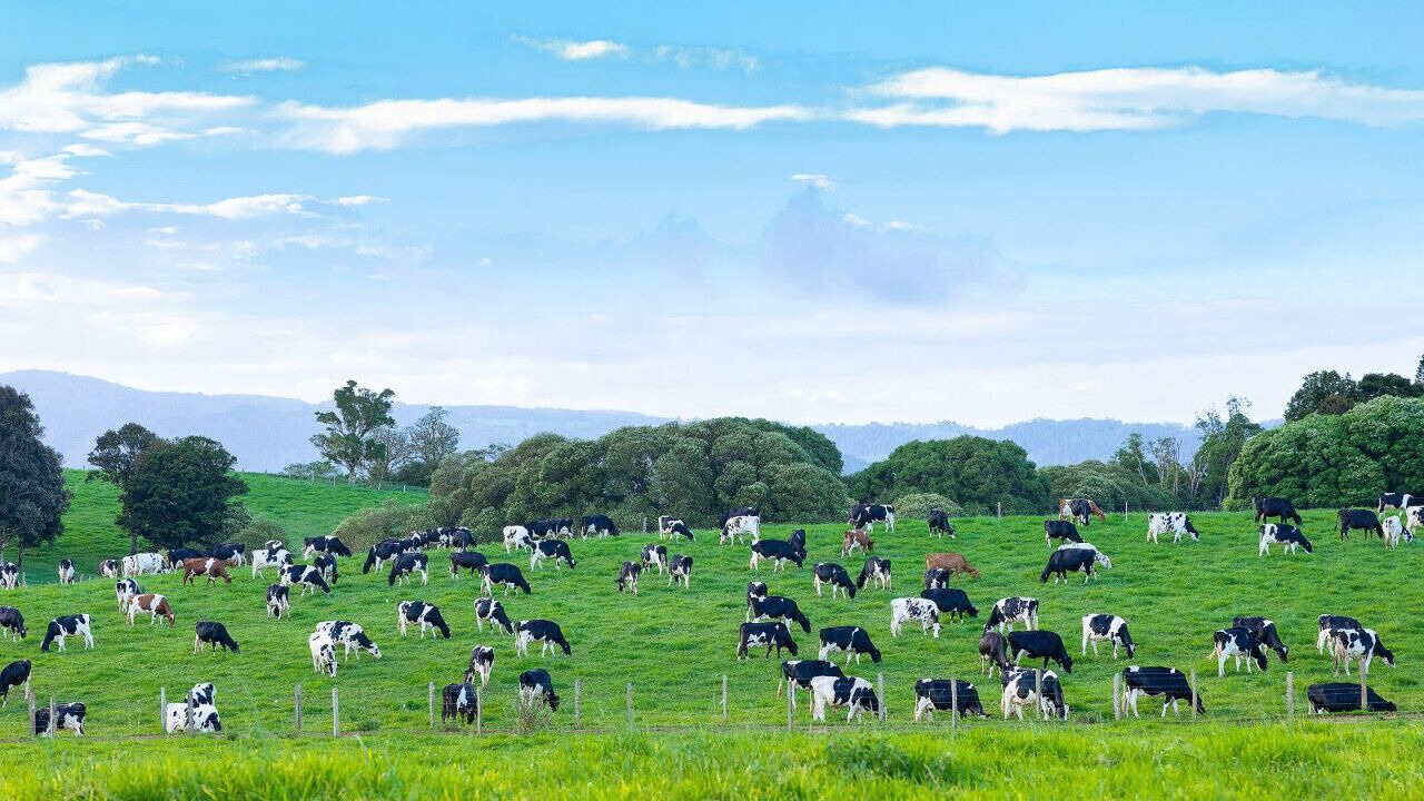 Photo of Others in Montville