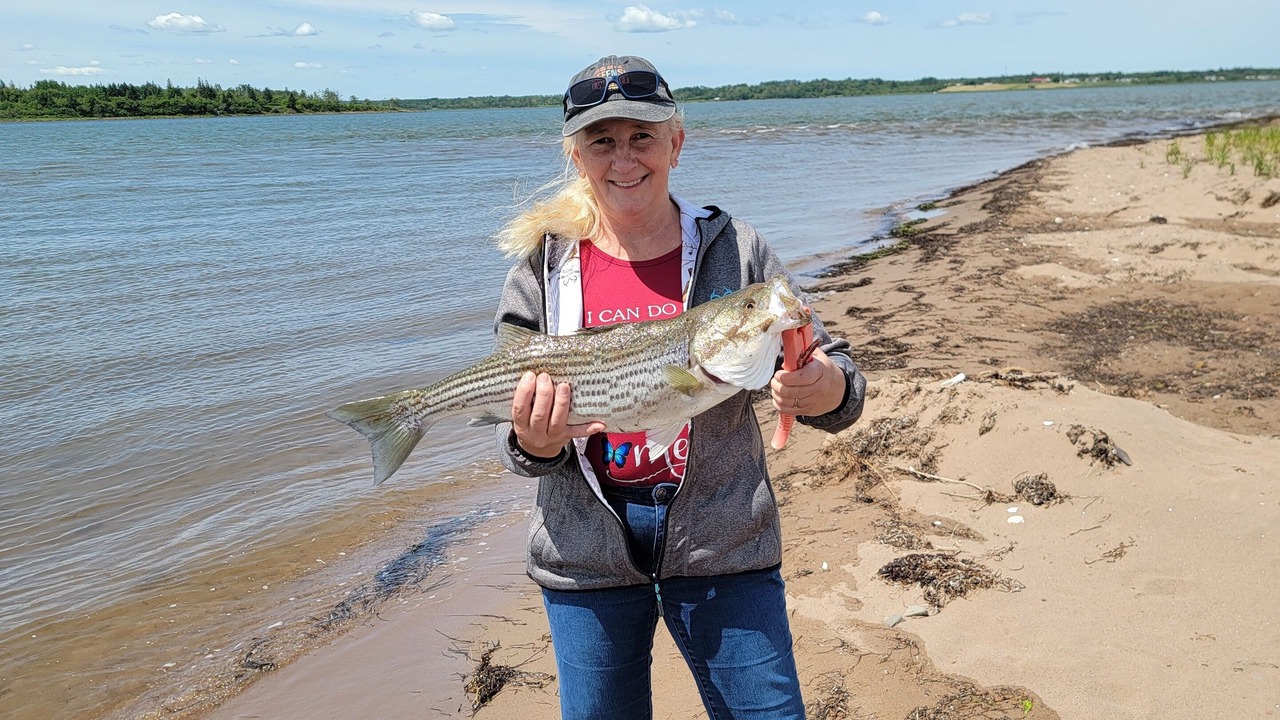 Photo of Others in Beaubassin East