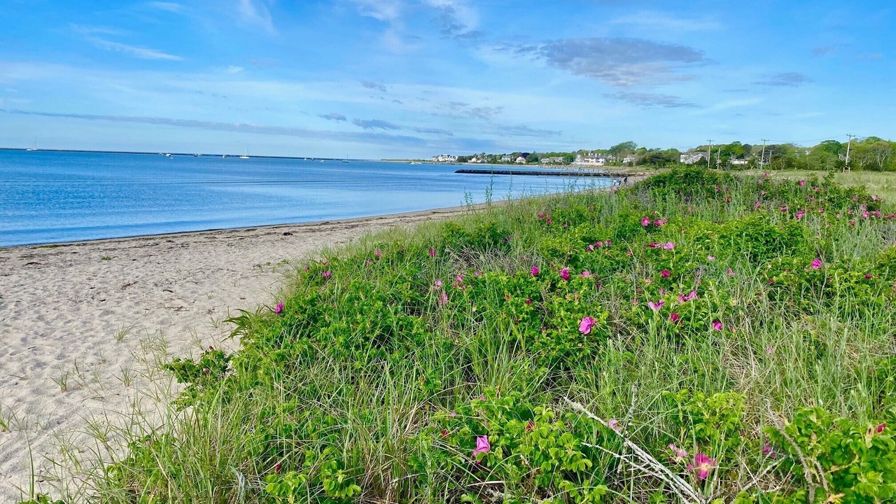 Photo of Others in Hyannis