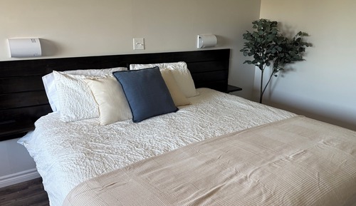 Single Room, 1 King Bed
