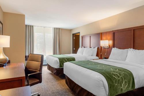 Comfort Inn & Suites Schenectady - Scotia in Schenectady